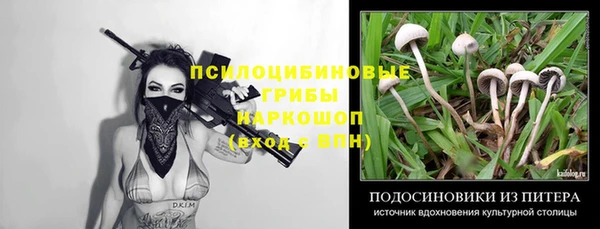 сатива Белокуриха