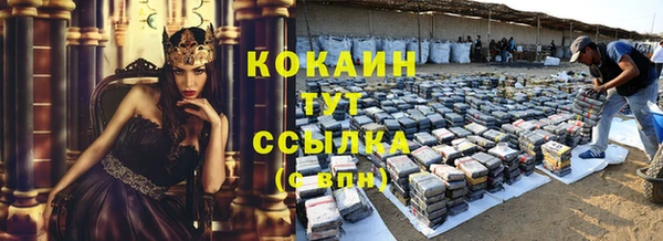 сатива Белокуриха