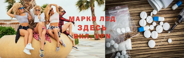 сатива Белокуриха