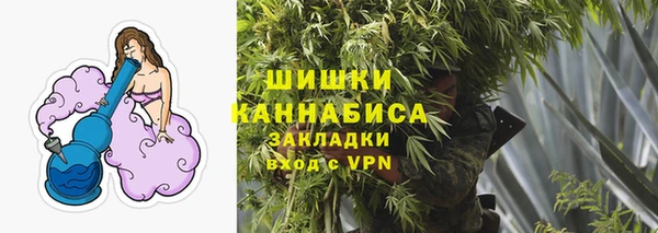 сатива Белокуриха