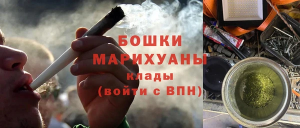 сатива Белокуриха
